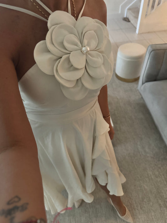 Rose dress